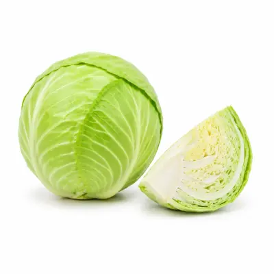 Cabbage (முட்டைக்கோஸ்)