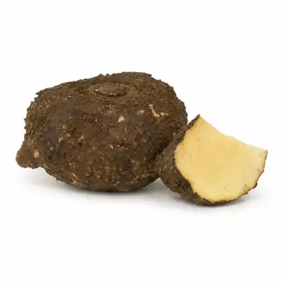 Elephant Foot Yam (சேனைக்கிழங்கு)