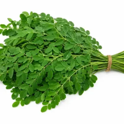 Drumstick Leaves (முருங்கைக்கீரை)