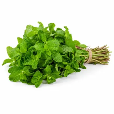 Mint Leaves (புதினா)
