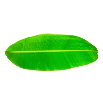 Banana Leaf Meal (சாப்பாடு இலை)