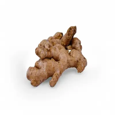 Ginger (இஞ்சி)