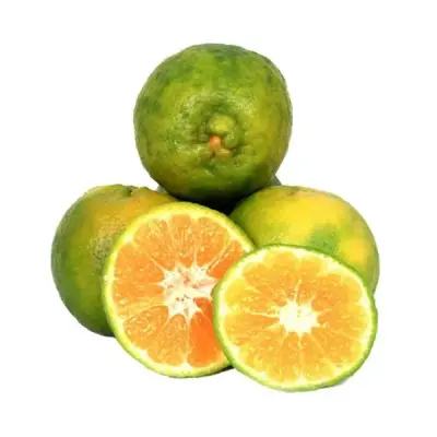 Orange Kamala (ஆரஞ்சு-கமலா)