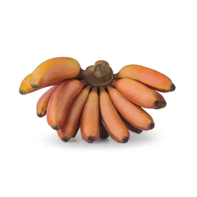 Banana Red (செவ்வாழை)