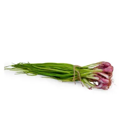Spring onion (வெங்காயத்தாள்)-Small Bunch