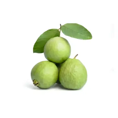 Guava (கொய்யா)